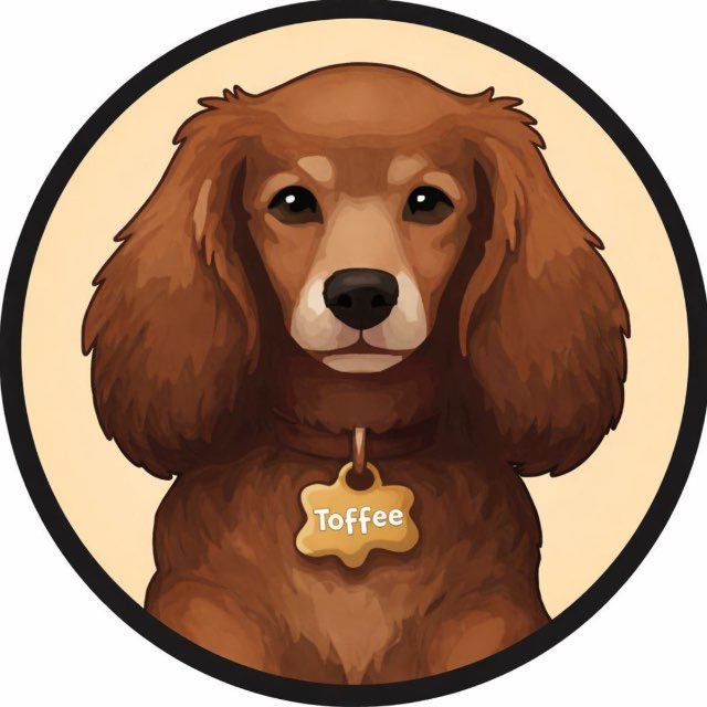 Toffee - The cutest meme coin mascot